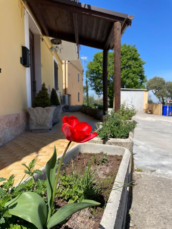 Sunflower Lanciano Exterior foto